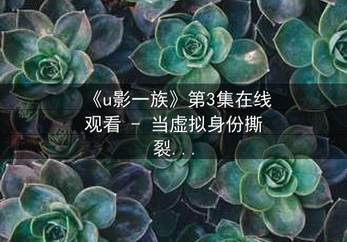 《u影一族》第3集在线观看 - 当虚拟身份撕裂现实人生