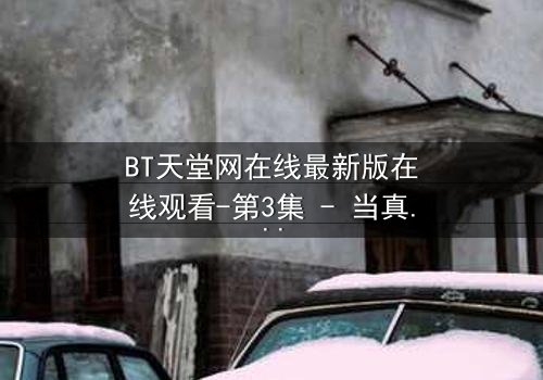 BT天堂网在线最新版在线观看-第3集 - 当真相撕裂,谁能全身而退?