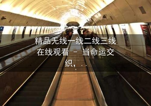 精品无线一线二线三线在线观看 - 当命运交织,谁将主宰这场数字风暴?