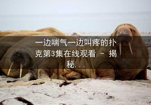 一边喘气一边叫疼的扑克第3集在线观看 - 揭秘扑克背后的惊悚真相