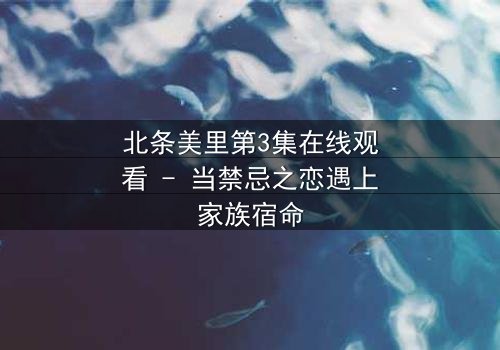 北条美里第3集在线观看 - 当禁忌之恋遇上家族宿命