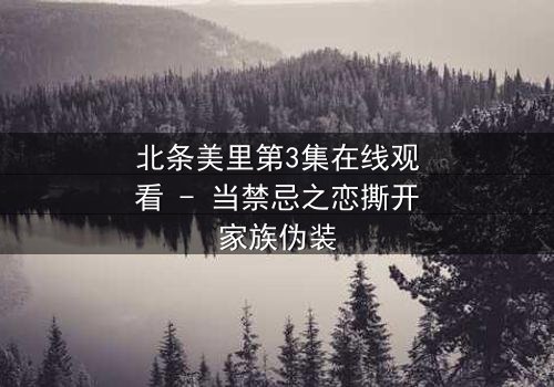 北条美里第3集在线观看 - 当禁忌之恋撕开家族伪装