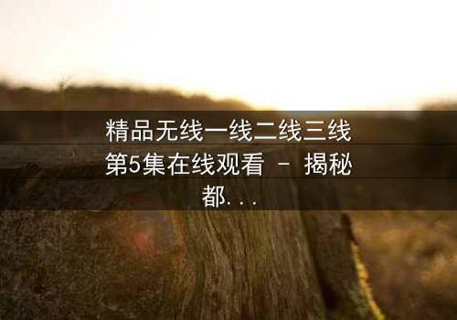 精品无线一线二线三线第5集在线观看 - 揭秘都市精英的隐秘战争