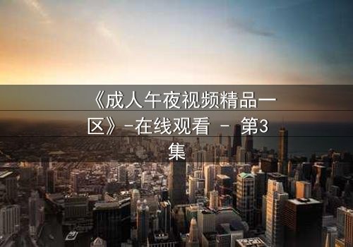 《成人午夜视频精品一区》-在线观看 - 第3集