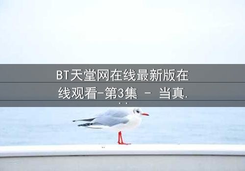 BT天堂网在线最新版在线观看-第3集 - 当真相撕裂,谁将幸存?