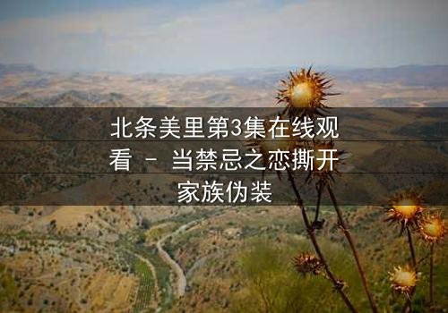 北条美里第3集在线观看 - 当禁忌之恋撕开家族伪装