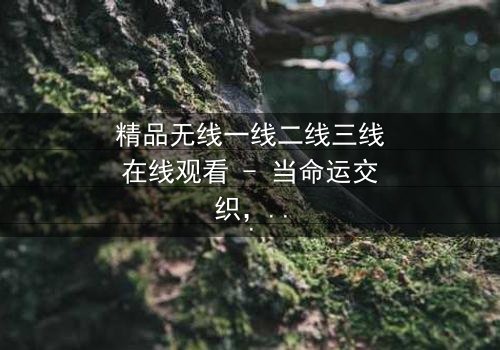 精品无线一线二线三线在线观看 - 当命运交织,谁能逃离这场都市漩涡?