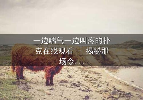 一边喘气一边叫疼的扑克在线观看 - 揭秘那场令人窒息的牌局真相