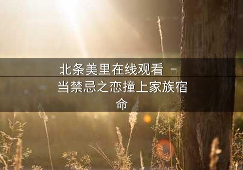 北条美里在线观看 - 当禁忌之恋撞上家族宿命