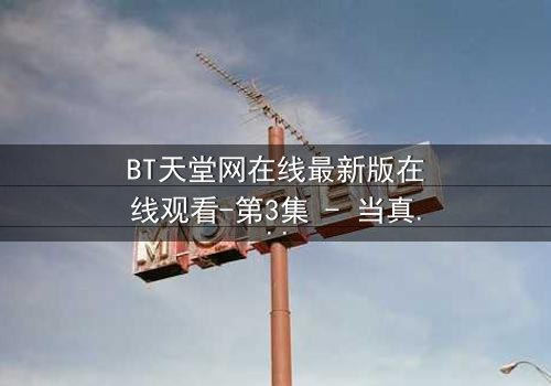 BT天堂网在线最新版在线观看-第3集 - 当真相撕裂,谁能全身而退?