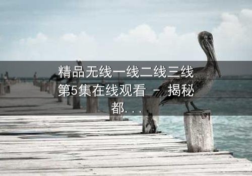 精品无线一线二线三线第5集在线观看 - 揭秘都市精英的隐秘战争