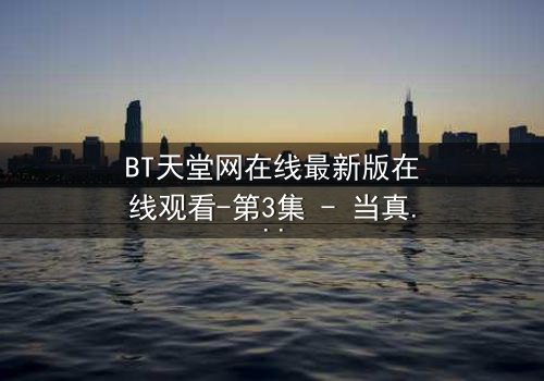 BT天堂网在线最新版在线观看-第3集 - 当真相撕裂,谁还能全身而退?