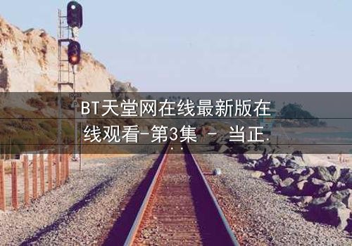 BT天堂网在线最新版在线观看-第3集 - 当正义与欲望在数字迷雾中交锋