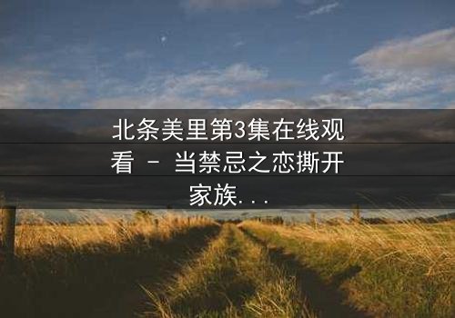 北条美里第3集在线观看 - 当禁忌之恋撕开家族最后的伪装