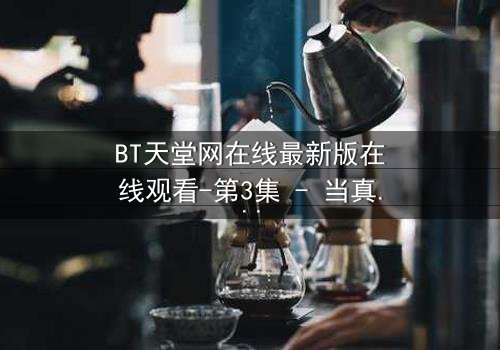 BT天堂网在线最新版在线观看-第3集 - 当真相撕裂,谁还能全身而退?