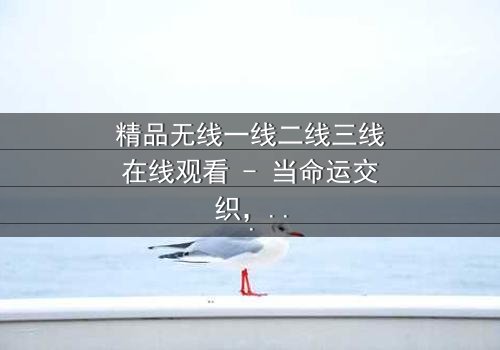 精品无线一线二线三线在线观看 - 当命运交织,谁将主宰数字世界的巅峰?