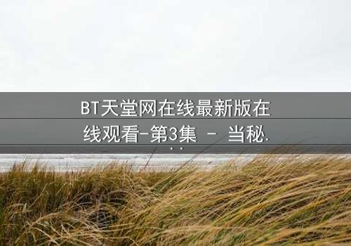 BT天堂网在线最新版在线观看-第3集 - 当秘密不再是秘密