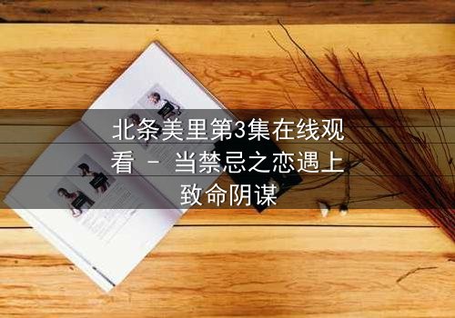 北条美里第3集在线观看 - 当禁忌之恋遇上致命阴谋