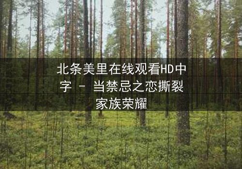 北条美里在线观看HD中字 - 当禁忌之恋撕裂家族荣耀