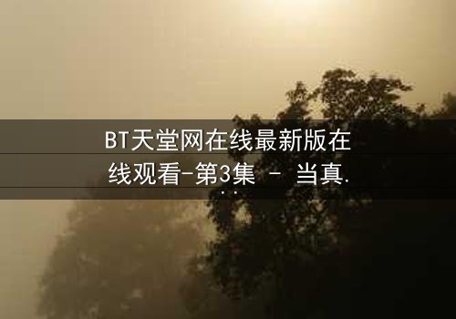 BT天堂网在线最新版在线观看-第3集 - 当真相撕裂,谁还能全身而退?