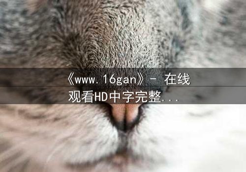 《www.16gan》- 在线观看HD中字完整无删 - 一场数字迷宫的致命诱惑
