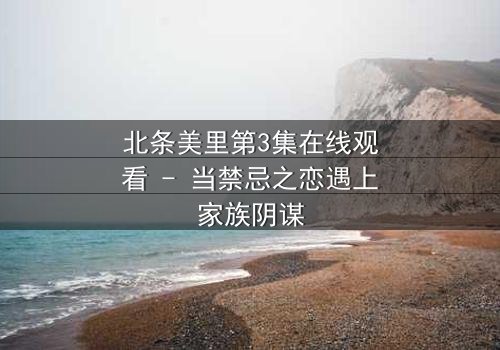 北条美里第3集在线观看 - 当禁忌之恋遇上家族阴谋