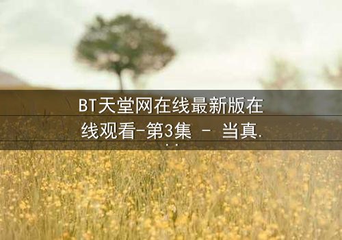 BT天堂网在线最新版在线观看-第3集 - 当真相撕裂,谁还敢相信屏幕后的每一帧?