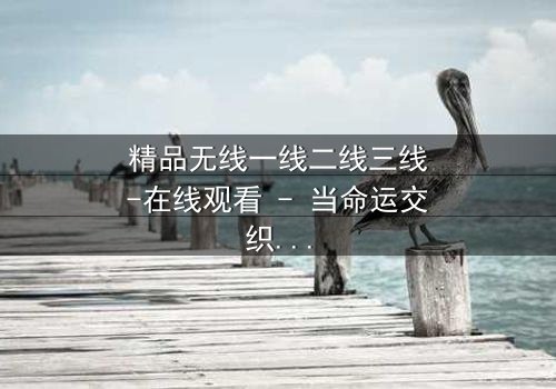 精品无线一线二线三线-在线观看 - 当命运交织,谁将主宰巅峰?