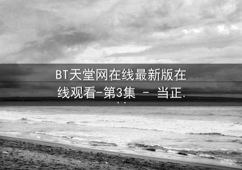BT天堂网在线最新版在线观看-第3集 - 当正义的代码遭遇黑暗的深渊