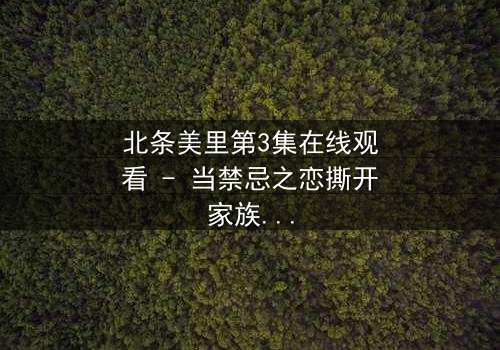 北条美里第3集在线观看 - 当禁忌之恋撕开家族最后的伪装