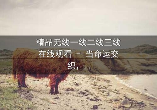 精品无线一线二线三线在线观看 - 当命运交织,谁能逃脱欲望的漩涡?