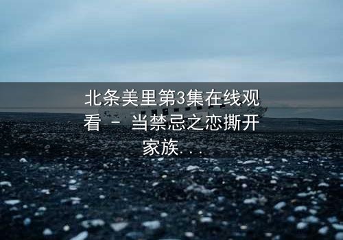 北条美里第3集在线观看 - 当禁忌之恋撕开家族最后的伪装