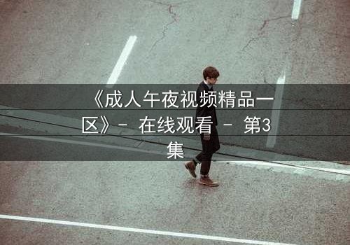 《成人午夜视频精品一区》- 在线观看 - 第3集