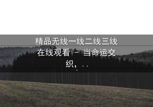 精品无线一线二线三线在线观看 - 当命运交织,谁能逃离这场都市漩涡?