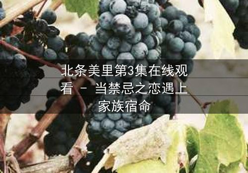 北条美里第3集在线观看 - 当禁忌之恋遇上家族宿命