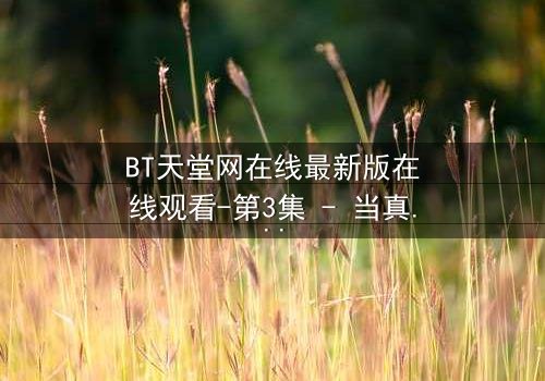 BT天堂网在线最新版在线观看-第3集 - 当真相撕裂,谁还能全身而退?