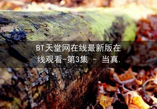 BT天堂网在线最新版在线观看-第3集 - 当真相撕裂,谁还能全身而退?