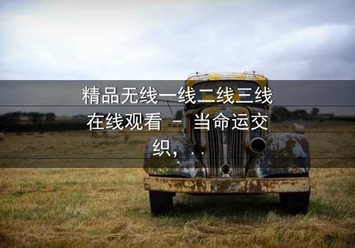 精品无线一线二线三线在线观看 - 当命运交织,谁能守住底线?