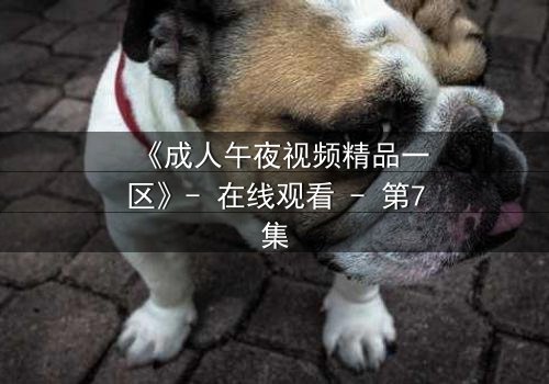 《成人午夜视频精品一区》- 在线观看 - 第7集