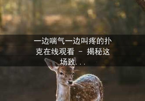 一边喘气一边叫疼的扑克在线观看 - 揭秘这场致命游戏背后的惊天秘密