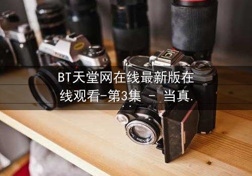 BT天堂网在线最新版在线观看-第3集 - 当真相撕裂,谁还能全身而退?