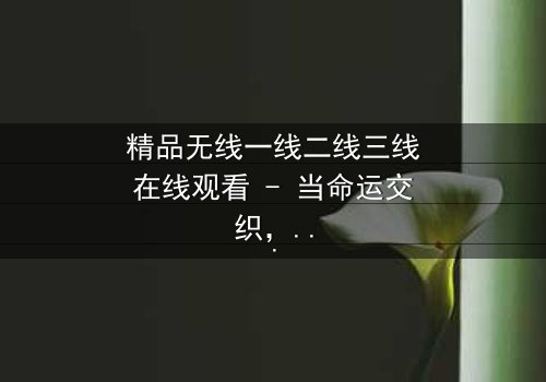 精品无线一线二线三线在线观看 - 当命运交织,谁能逃出欲望的漩涡?