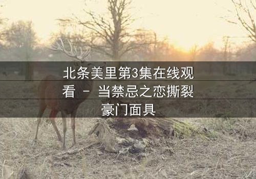 北条美里第3集在线观看 - 当禁忌之恋撕裂豪门面具