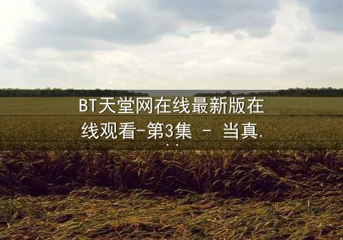 BT天堂网在线最新版在线观看-第3集 - 当真相撕裂,谁还敢相信屏幕后的眼睛?