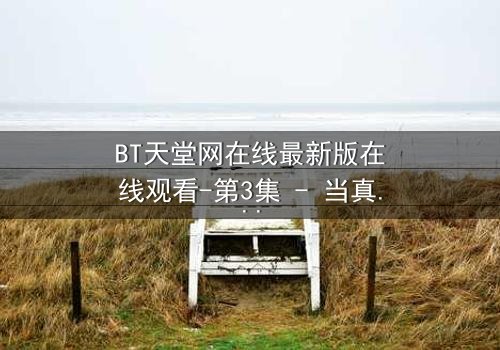 BT天堂网在线最新版在线观看-第3集 - 当真相撕裂,谁能全身而退?