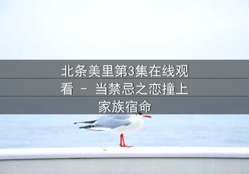 北条美里第3集在线观看 - 当禁忌之恋撞上家族宿命