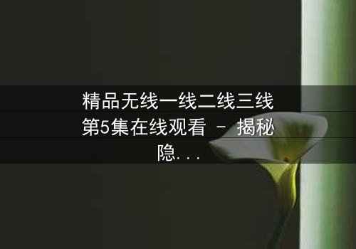 精品无线一线二线三线第5集在线观看 - 揭秘隐藏的真相与人性抉择