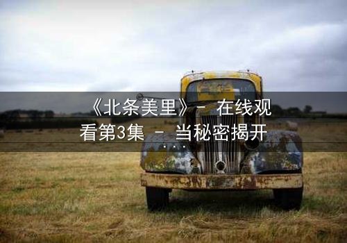 《北条美里》- 在线观看第3集 - 当秘密揭开,命运将如何抉择?