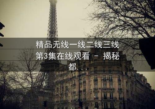 精品无线一线二线三线第3集在线观看 - 揭秘都市精英的隐秘较量