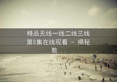 精品无线一线二线三线第5集在线观看 - 揭秘数字世界的隐秘战争!